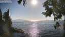 ./images/koeye/fitz-hugh/20250824/fitz-hugh20250824_172011M.jpg