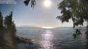 ./images/koeye/fitz-hugh/20250824/fitz-hugh20250824_172512M.jpg