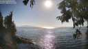 ./images/koeye/fitz-hugh/20250824/fitz-hugh20250824_173011M.jpg