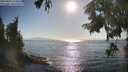 ./images/koeye/fitz-hugh/20250824/fitz-hugh20250824_173509M.jpg