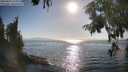 ./images/koeye/fitz-hugh/20250824/fitz-hugh20250824_174010M.jpg