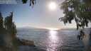 ./images/koeye/fitz-hugh/20250824/fitz-hugh20250824_174511M.jpg