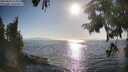 ./images/koeye/fitz-hugh/20250824/fitz-hugh20250824_175009M.jpg