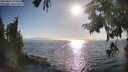 ./images/koeye/fitz-hugh/20250824/fitz-hugh20250824_175510M.jpg