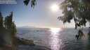 ./images/koeye/fitz-hugh/20250824/fitz-hugh20250824_180012M.jpg