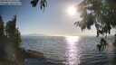 ./images/koeye/fitz-hugh/20250824/fitz-hugh20250824_180510M.jpg
