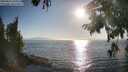 ./images/koeye/fitz-hugh/20250824/fitz-hugh20250824_181010M.jpg