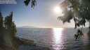 ./images/koeye/fitz-hugh/20250824/fitz-hugh20250824_181511M.jpg