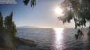 ./images/koeye/fitz-hugh/20250824/fitz-hugh20250824_182011M.jpg