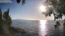 ./images/koeye/fitz-hugh/20250824/fitz-hugh20250824_182512M.jpg