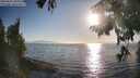 ./images/koeye/fitz-hugh/20250824/fitz-hugh20250824_183012M.jpg