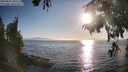 ./images/koeye/fitz-hugh/20250824/fitz-hugh20250824_183511M.jpg