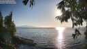 ./images/koeye/fitz-hugh/20250824/fitz-hugh20250824_184010M.jpg