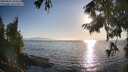 ./images/koeye/fitz-hugh/20250824/fitz-hugh20250824_184511M.jpg