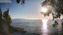./images/koeye/fitz-hugh/20250824/fitz-hugh20250824_185012M.jpg