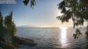 ./images/koeye/fitz-hugh/20250824/fitz-hugh20250824_185510M.jpg