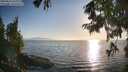 ./images/koeye/fitz-hugh/20250824/fitz-hugh20250824_190009M.jpg