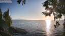 ./images/koeye/fitz-hugh/20250824/fitz-hugh20250824_190509M.jpg