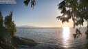 ./images/koeye/fitz-hugh/20250824/fitz-hugh20250824_191008M.jpg