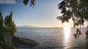 ./images/koeye/fitz-hugh/20250824/fitz-hugh20250824_191509M.jpg
