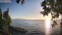 ./images/koeye/fitz-hugh/20250824/fitz-hugh20250824_192009M.jpg