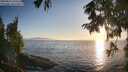 ./images/koeye/fitz-hugh/20250824/fitz-hugh20250824_192513M.jpg