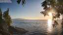 ./images/koeye/fitz-hugh/20250824/fitz-hugh20250824_193010M.jpg