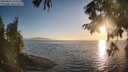 ./images/koeye/fitz-hugh/20250824/fitz-hugh20250824_193508M.jpg