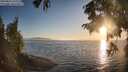 ./images/koeye/fitz-hugh/20250824/fitz-hugh20250824_194009M.jpg