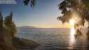 ./images/koeye/fitz-hugh/20250824/fitz-hugh20250824_194507M.jpg