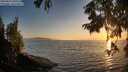 ./images/koeye/fitz-hugh/20250824/fitz-hugh20250824_200509M.jpg