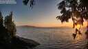 ./images/koeye/fitz-hugh/20250824/fitz-hugh20250824_202009M.jpg