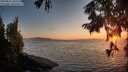 ./images/koeye/fitz-hugh/20250824/fitz-hugh20250824_202512M.jpg