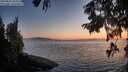 ./images/koeye/fitz-hugh/20250824/fitz-hugh20250824_203509M.jpg