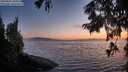 ./images/koeye/fitz-hugh/20250824/fitz-hugh20250824_204009M.jpg