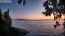 ./images/koeye/fitz-hugh/20250824/fitz-hugh20250824_204509M.jpg