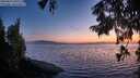 ./images/koeye/fitz-hugh/20250824/fitz-hugh20250824_205509M.jpg