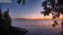 ./images/koeye/fitz-hugh/20250824/fitz-hugh20250824_210009M.jpg