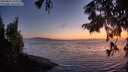 ./images/koeye/fitz-hugh/20250824/fitz-hugh20250824_210508M.jpg