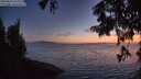 ./images/koeye/fitz-hugh/20250824/fitz-hugh20250824_211509M.jpg