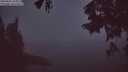 ./images/koeye/fitz-hugh/20250825/fitz-hugh20250825_055010M.jpg