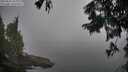 ./images/koeye/fitz-hugh/20250825/fitz-hugh20250825_064011M.jpg