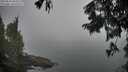 ./images/koeye/fitz-hugh/20250825/fitz-hugh20250825_064510M.jpg