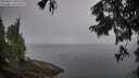 ./images/koeye/fitz-hugh/20250825/fitz-hugh20250825_080507M.jpg