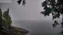 ./images/koeye/fitz-hugh/20250825/fitz-hugh20250825_091010M.jpg