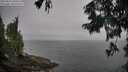 ./images/koeye/fitz-hugh/20250825/fitz-hugh20250825_100511M.jpg