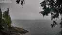 ./images/koeye/fitz-hugh/20250825/fitz-hugh20250825_102513M.jpg