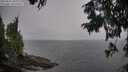 ./images/koeye/fitz-hugh/20250825/fitz-hugh20250825_110012M.jpg