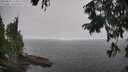 ./images/koeye/fitz-hugh/20250825/fitz-hugh20250825_114511M.jpg