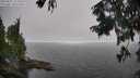 ./images/koeye/fitz-hugh/20250825/fitz-hugh20250825_123012M.jpg